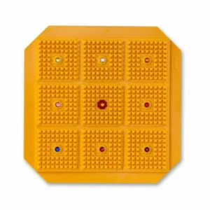 Taurus Vastu Energy Plate