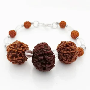 Libra Energized Rudraksha Bracelet