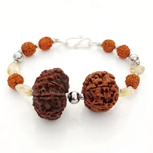 Sagittarius Energized Rudraksha Bracelet