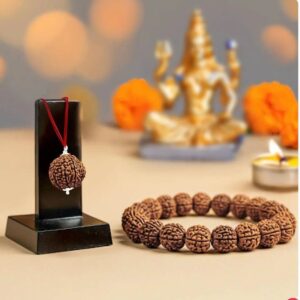 Rudraksha Consultation