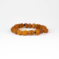 Virgo Energized Rudraksha Bracelet